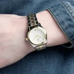 ar0380-emporio-armani-watch-women-silver-dial-stainless-steel-metal-gold-strap-quartz-battery-analog-franco-medium.webp