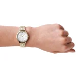 ar11007-emporio-armani-watch-women-mother-of-pearl-white-dial-stainless-steel-metal-gold-strap-quartz-battery-analog-kappa.webp