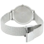 ar11128-emporio-armani-watch-women-silver-dial-mesh-stainless-steel-metal-strap-quartz-battery-analog-kappa.webp