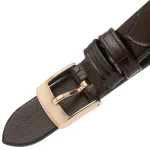 ar11269-emporio-armani-watch-women-crystals-silver-dial-leather-burgundy-strap-quartz-battery-analog-gianni-t-bar.webp