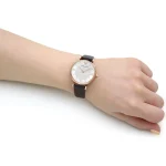 ar11269-emporio-armani-watch-women-crystals-silver-dial-leather-burgundy-strap-quartz-battery-analog-gianni-t-bar.webp