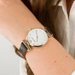 ar11297-emporio-armani-watch-women-mother-of-pearl-white-dial-logo-leather-brown-strap-quartz-battery-analog-gianni-t-bar.webp
