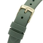 ar11314-emporio-armani-watch-women-mother-of-pearl-white-dial-leather-green-strap-quartz-battery-analog-arianna.webp