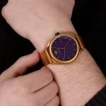 ar11327-emporio-armani-watch-men-purple-dial-mesh-stainless-steel-metal-yellow-strap-quartz-battery-analog-matteo.webp