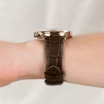 ar11334-emporio-armani-watch-men-green-dial-leather-brown-strap-quartz-battery-analog-chronograph-aviator.webp