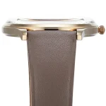 ar11420-emporio-armani-watch-men-green-dial-leather-gray-strap-quartz-battery-analog-adriano.webp