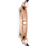 ar11468-emporio-armani-watch-women-mother-of-pearl-white-dial-leather-blue-strap-quartz-battery-analog-gianni-t-bar.webp