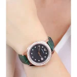 ar11506-emporio-armani-watch-women-crystals-mother-of-pearl-black-dial-leather-green-strap-quartz-battery-analog.webp
