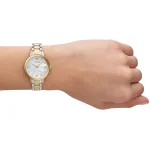 ar11513-emporio-armani-watch-women-white-dial-stainless-steel-metal-silver-gold-strap-quartz-battery-analog-cleo.webp