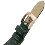 ar11517-emporio-armani-watch-women-crystals-silver-dial-leather-green-strap-quartz-battery-analog-gianni-t-bar.webp