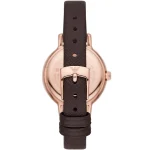 ar11555-emporio-armani-watch-women-crystal-brown-dial-leather-strap-quartz-battery-analog-cleo.webp