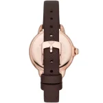 ar11568-emporio-armani-watch-women-crystal-silver-dial-leather-brown-strap-quartz-battery-analog-mia.webp