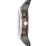 ar1491-emporio-armani-watch-ceramica-women-black-dial-ceramic-strap-quartz-battery-analog-chiara.webp