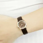 ar1714-emporio-armani-watch-women-brown-dial-leather-strap-quartz-battery-analog-valente-xsmall.webp
