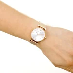 ar1956-emporio-armani-watch-women-silver-dial-mesh-stainless-steel-metal-rose-gold-strap-quartz-battery-analog-gianni-t-bar.webp