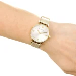 ar1957-emporio-armani-watch-women-gold-dial-mesh-stainless-steel-metal-golden-strap-quartz-battery-analog-gianni-t-bar.webp