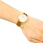 ar1960-emporio-armani-watch-women-mother-of-pearl-pink-dial-leather-brown-strap-quartz-battery-analog-gianni-t-bar.webp