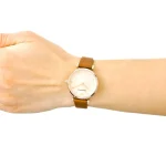 ar1960-emporio-armani-watch-women-mother-of-pearl-pink-dial-leather-brown-strap-quartz-battery-analog-gianni-t-bar.webp