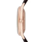 ar2073-emporio-armani-watch-meccanico-men-silver-dial-leather-brown-strap-automatic-analog-beta.webp