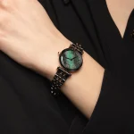 ar70005-emporio-armani-watch-ceramica-women-mother-of-pearl-black-dial-stainless-steel-metal-ceramic-strap-quartz-battery-analog-gianni-t-bar.webp