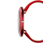 ar7337-emporio-armani-watch-women-red-dial-leather-strap-quartz-battery-analog.webp