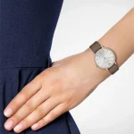 ar8040-emporio-armani-watch-women-silver-dial-leather-brown-strap-quartz-battery-analog-kappa.webp