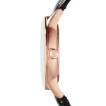 ar9101l-emporio-armani-watch-women-silver-dial-leather-brown-strap-quartz-battery-analog.webp