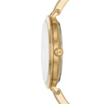 mk4341-michael-kors-watch-women-gold-dial-acrylic-golden-brown-strap-quartz-battery-analog-three-hand-jaryn.webp