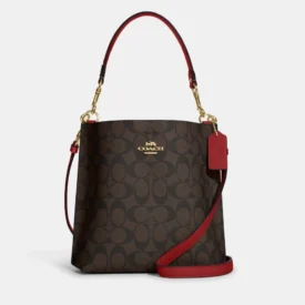 Coach Mollie 22 Bucket Bag