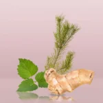 71mcziro5ul._ac_sl1500_-1-outlet90-com