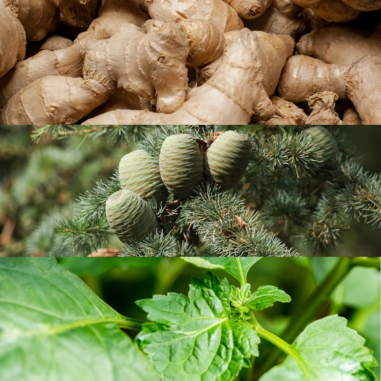 91owihsz3rl._ac_sl1500_-4-outlet90-com