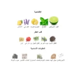 41opnrpvutl._ac_sx679_-8-outlet90-com