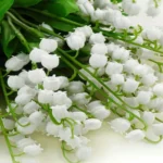 61fak8co16l._ac_sl1500_-5-outlet90-com