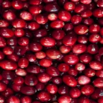 61fak8co16l._ac_sl1500_-5-outlet90-com