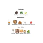 download_1_fd51a5b7-212f-4b14-b525-bbc798285da4-1-outlet90-com