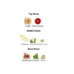 61hs4ec7fal._ac_sx679_-2-outlet90-com