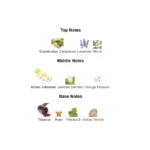 img-0206-1-outlet90-com