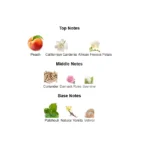 375×500.686.2x-2-outlet90-com