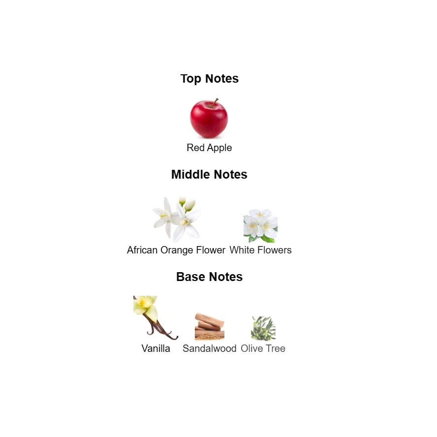 screenshot 2025-09-07 133226-4-outlet90-com