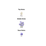 s-l1600 (1)-1-outlet90-com