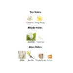 3423222005672_1-1-outlet90-com