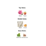 n52005320a_1-1-outlet90-com