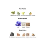 narbn33m-3-outlet90-com