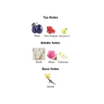 375×500.71596.2x-3-outlet90-com