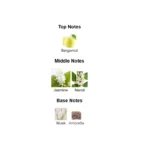 375×500.95006.2x-5-outlet90-com