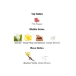 375×500.78581.2x-2-outlet90-com