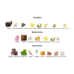 375×500.1018.2x-3-outlet90-com