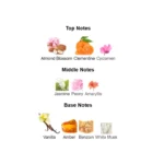 375×500.92.2x-3-outlet90-com