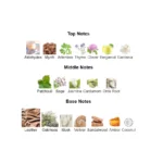 375×500.113.2x-2-outlet90-com