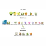 s-l1600 (1)-3-outlet90-com